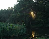 Blick in die Sonne lk